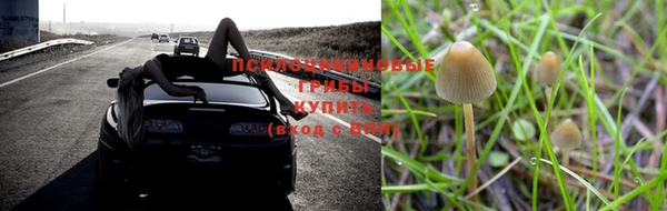 дурь Белокуриха