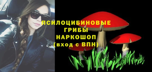 молекула духа Белоозёрский
