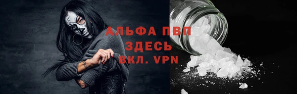 молекула духа Белоозёрский
