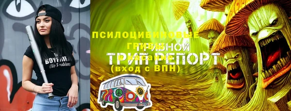 молекула духа Белоозёрский