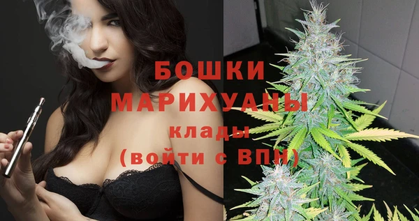 молекула духа Белоозёрский