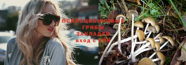 дурь Белокуриха