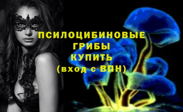 МДПВ Беломорск