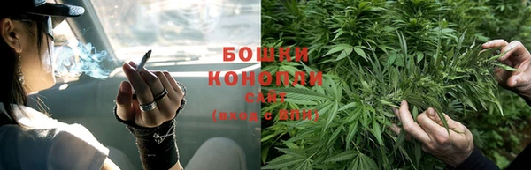 дурь Белокуриха