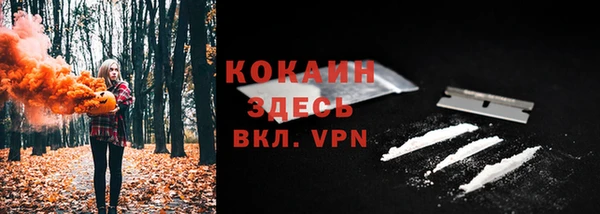 молекула духа Белоозёрский
