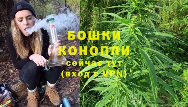 дурь Белокуриха